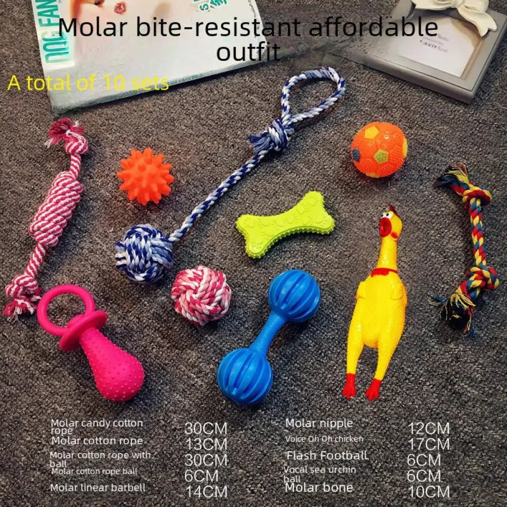 Set Jucării de Pluș cu Piuit pentru Câini - imaginea 3